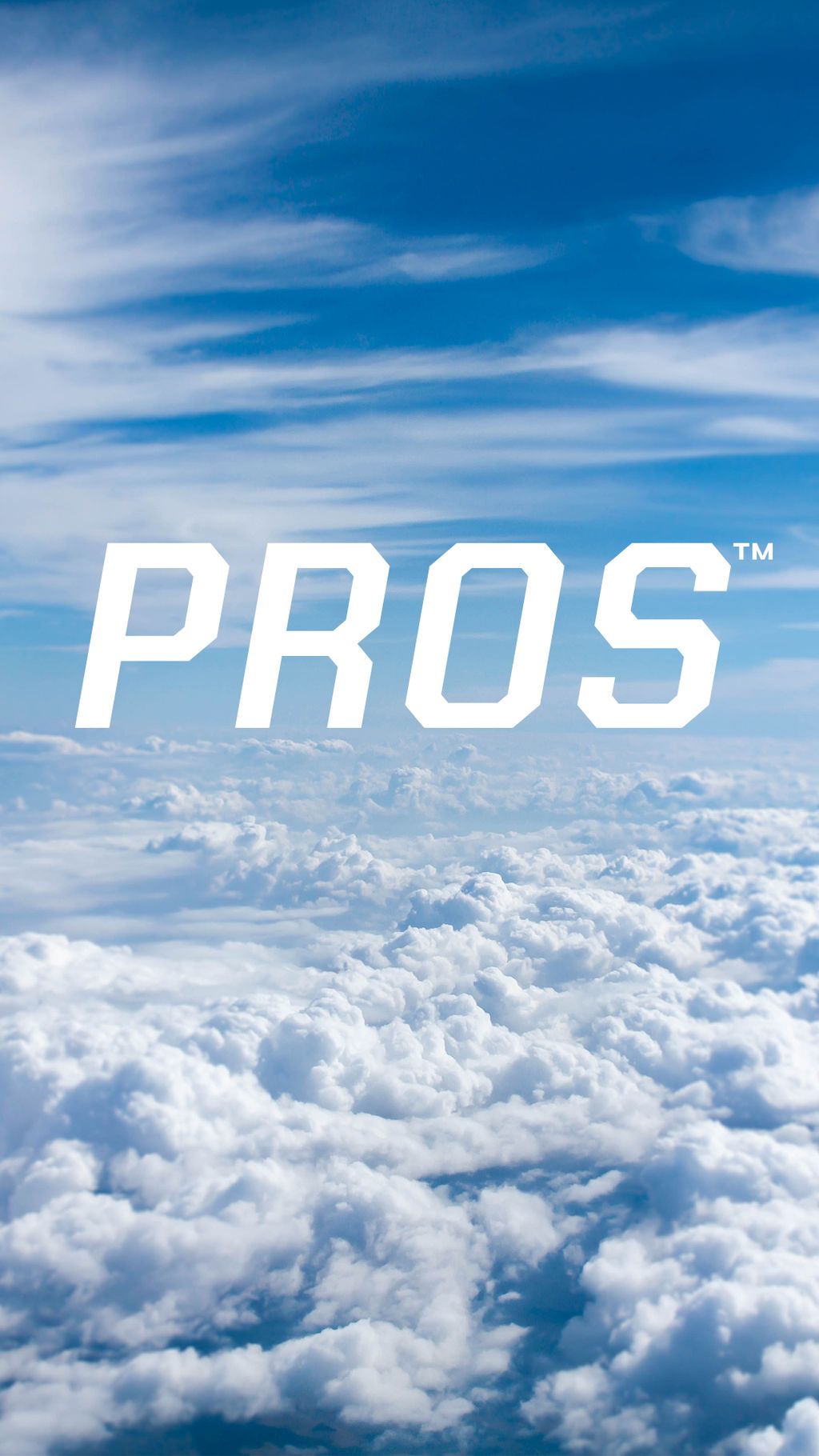 PROS Handyman Service