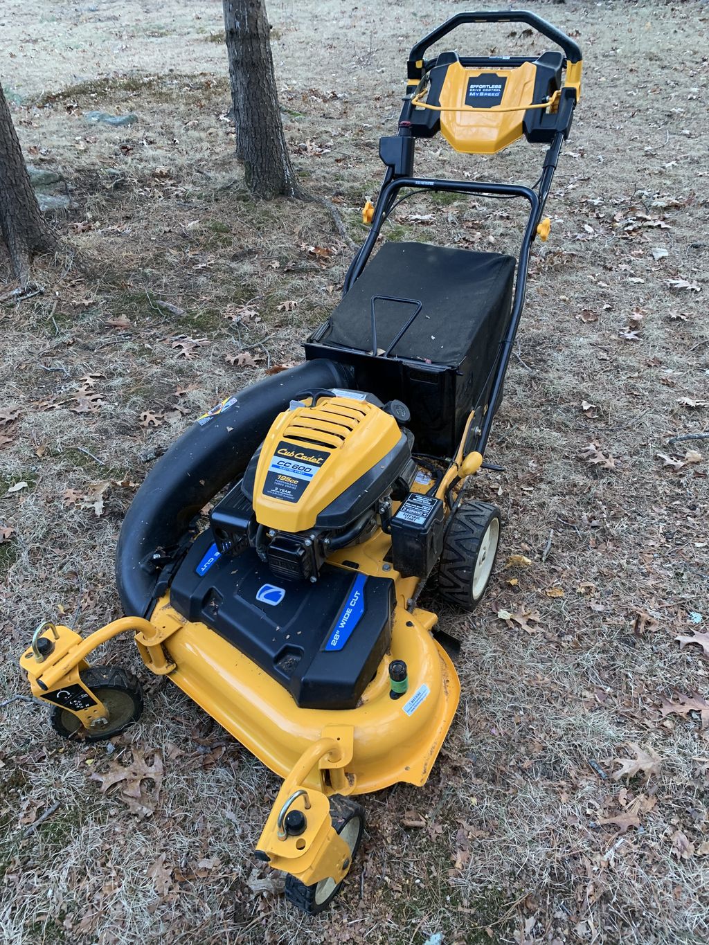 Cub cadet CC600 tune-up