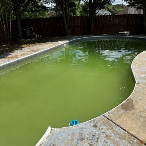 Swimming Pool Cleaning, Maintenance, and Inspection