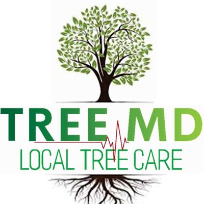 Avatar for Tree MD