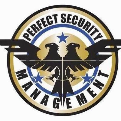 Avatar for Perfect Security Management