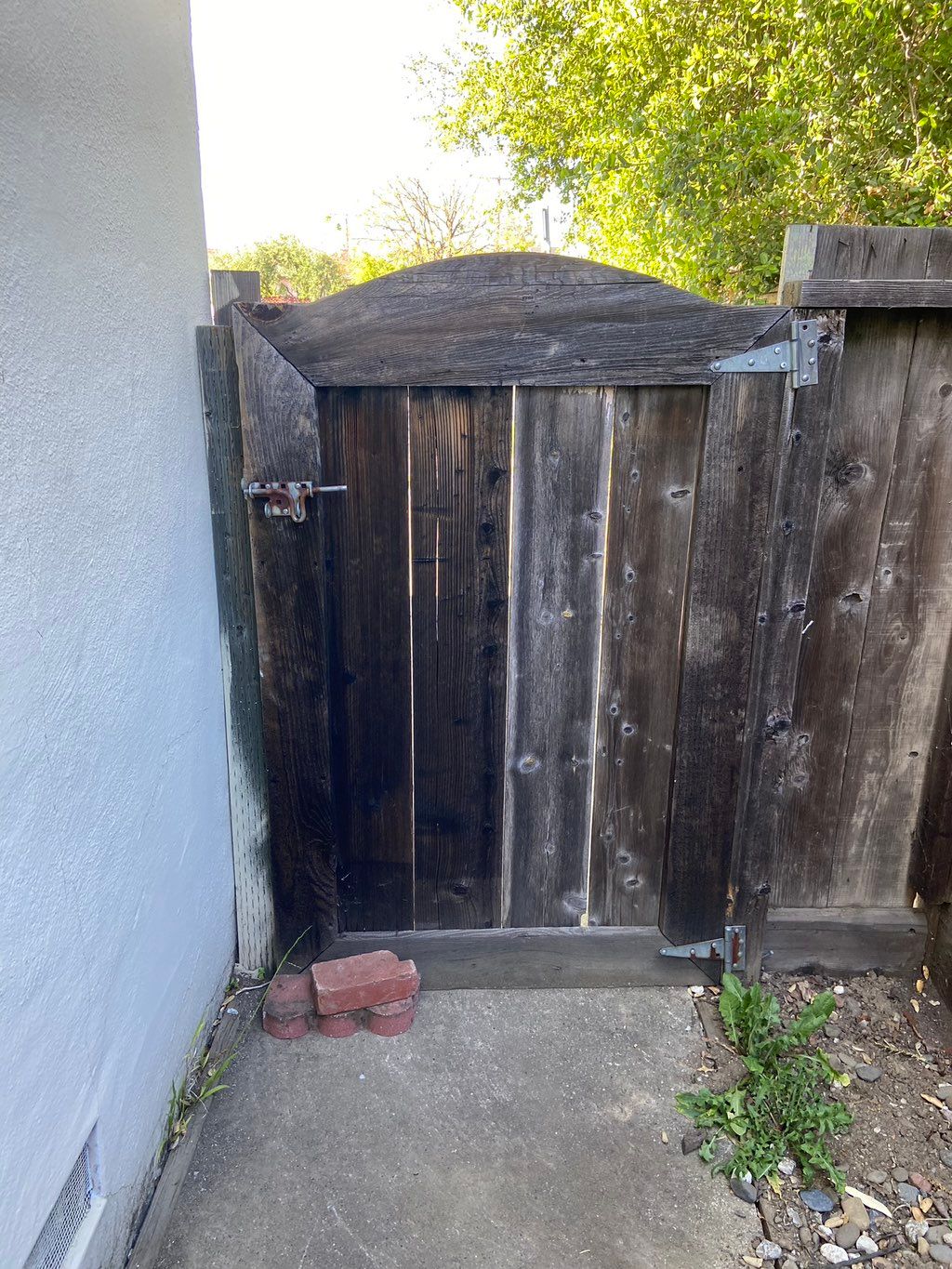 Customer photos