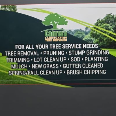Avatar for Cabrera tree services