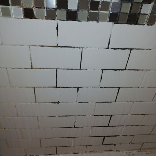 Tile and Grout Cleaning