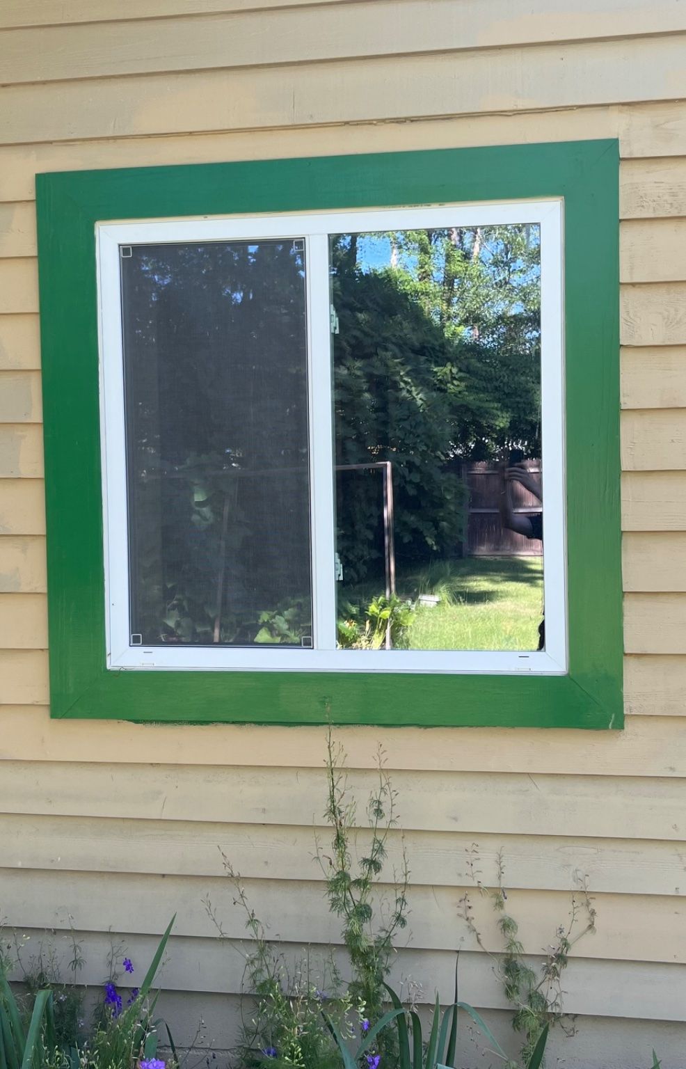 Customer photos