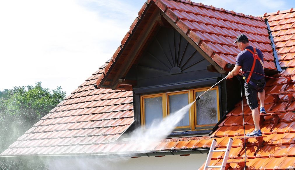 pro pressure washing a roof