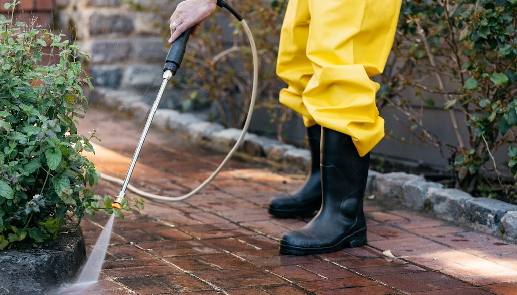 pro pressure washing near landscape plants