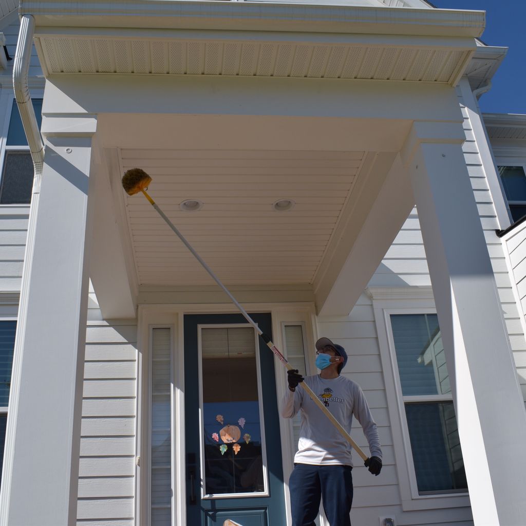 Spider, ants, millipedes, centipedes and other com