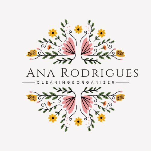 Ana Rodrigues Modern cleaning LLC