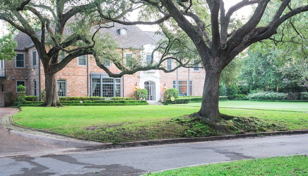 large trees in front yard