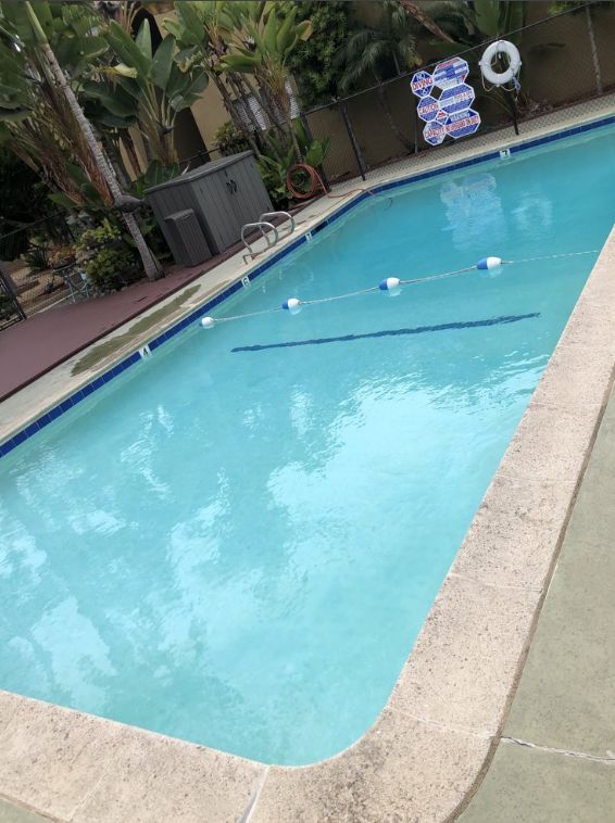 From green to clean – leave your pool maintenance 