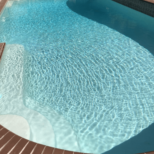 Dive into a pristine pool every day. Trust our pro