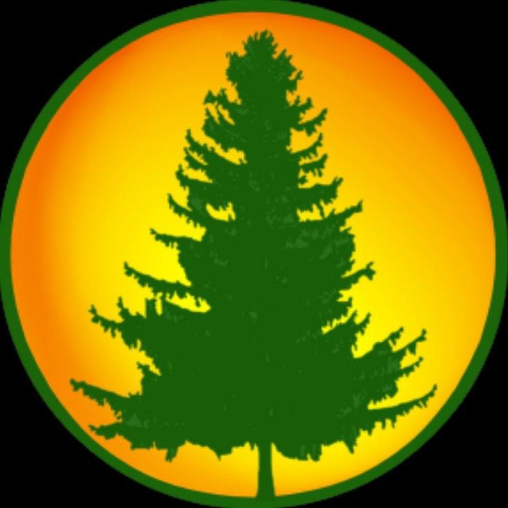 PineDo Tree Experts