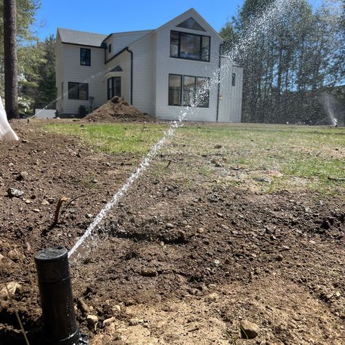 I'm thrilled to recommend king irrigation for all 