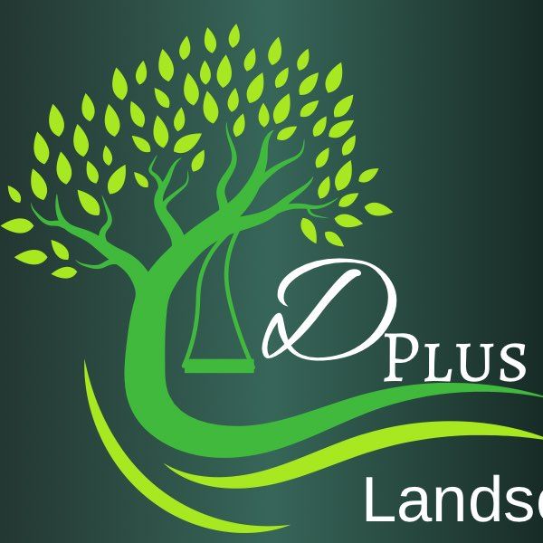 D Plus Landscaping