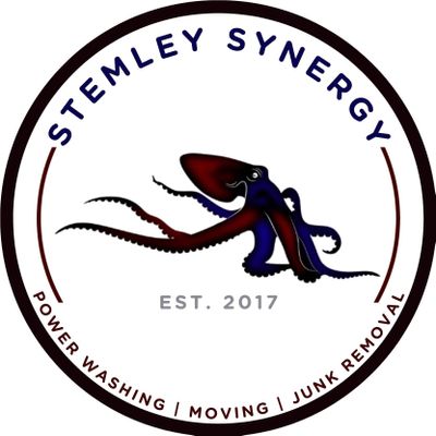 Avatar for STEMLEY SYNERGY