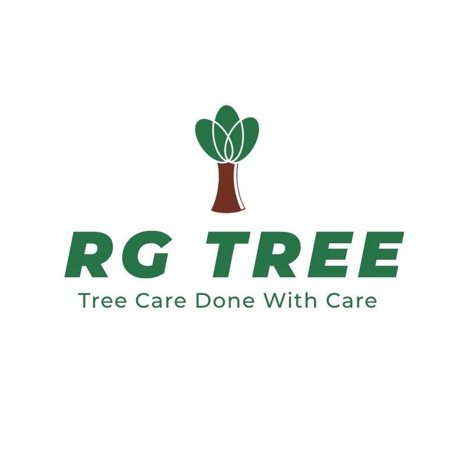 RG Tree LLC