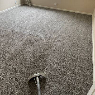 Avatar for Fancy Green Carpet Cleaning