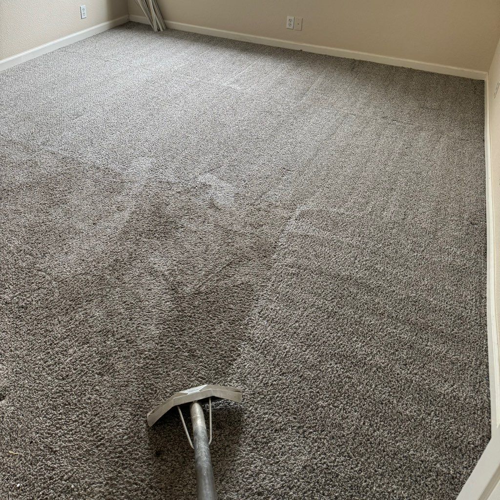 Fancy Green Carpet Cleaning