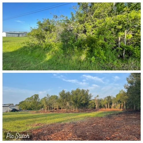 Land Clearing