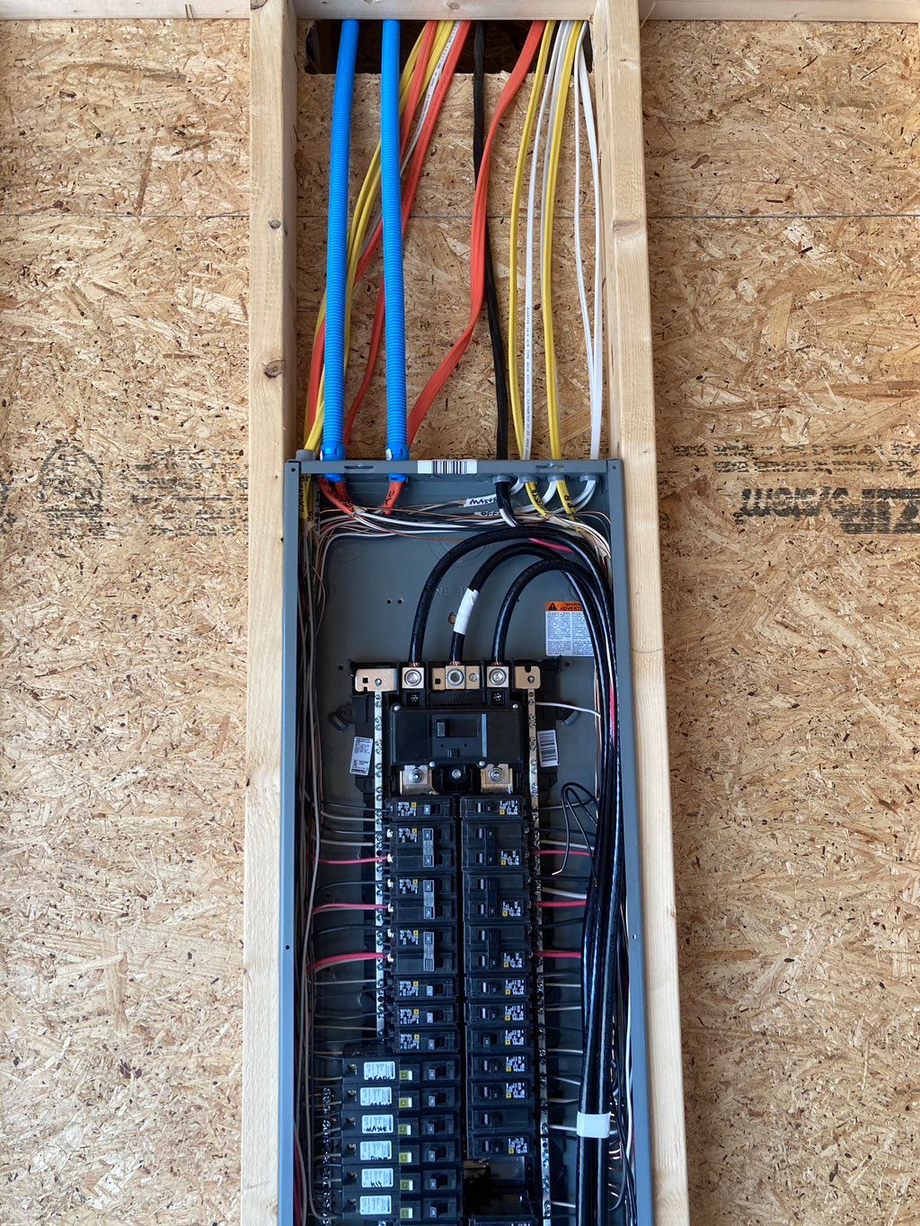 Projects and media