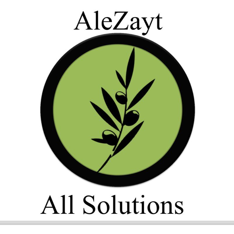 Aleyzayt All Solutions LLC