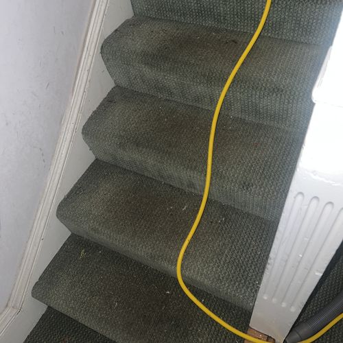 Carpet Cleaning