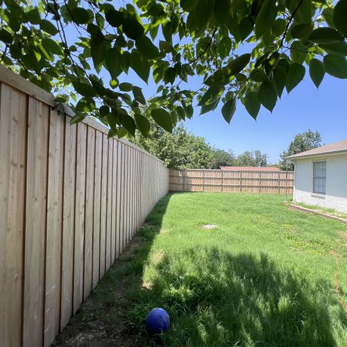 Fence Painting