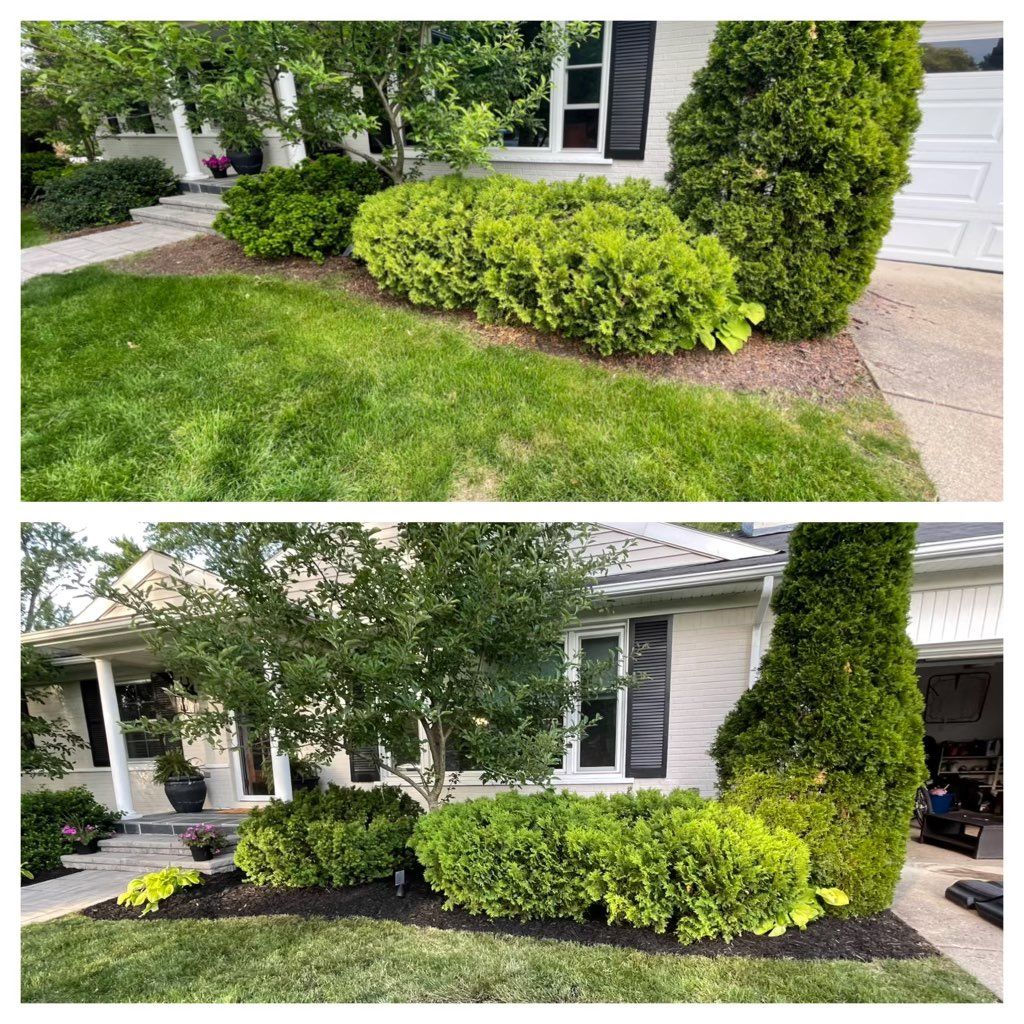 Customer photos