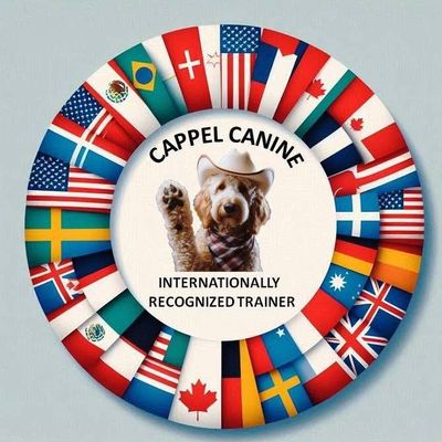 Avatar for Cappel canine
