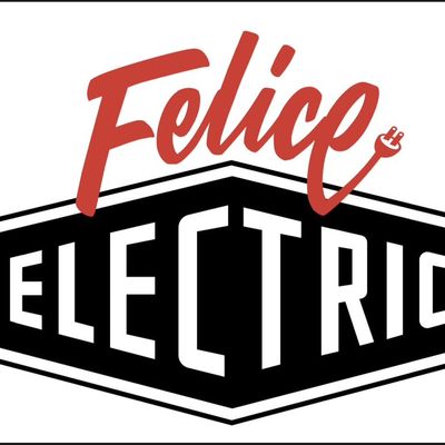Avatar for Felice Electric