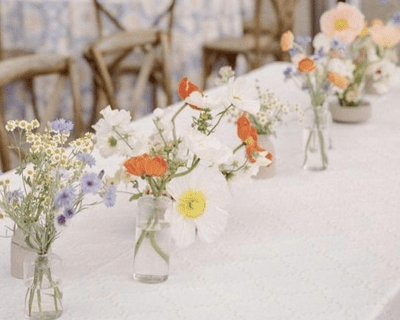 Avatar for Crushed Velvet Specialty Rentals