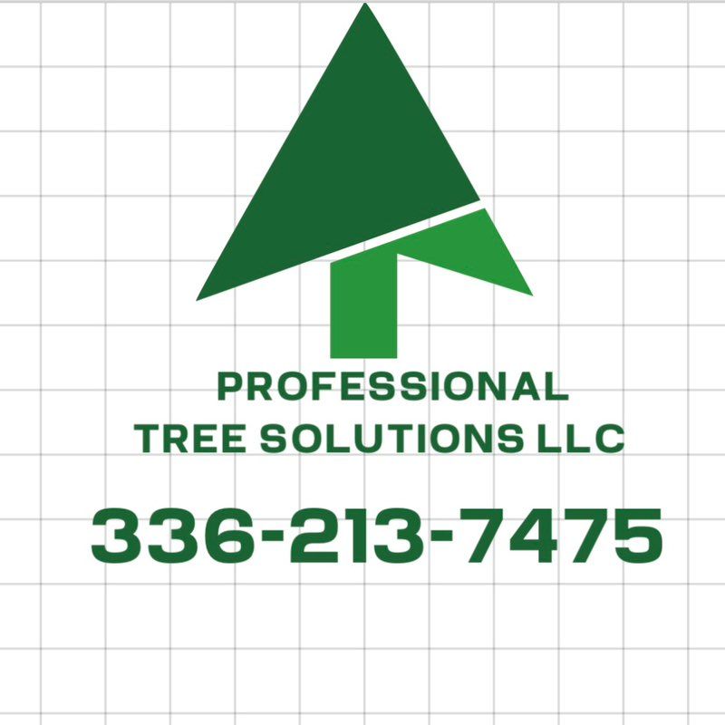 Profesional Tree Solution LLC