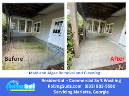 Did you know that mold and algae are one of the le