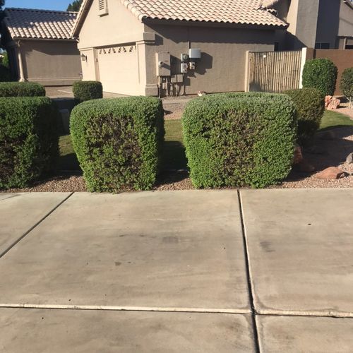 Mauro Landscaping’ Profile Picture