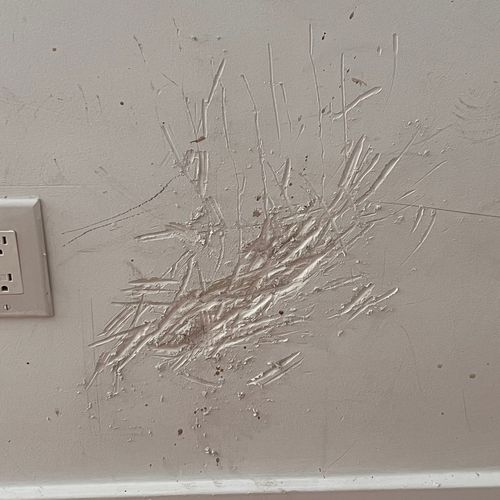 My dog scratched up my wall right before my lease 