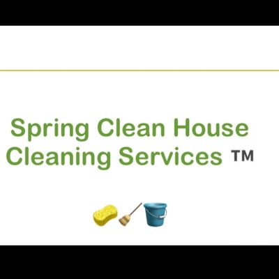 Avatar for Spring Clean House Cleaning