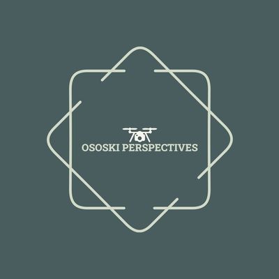 Avatar for Ososki Perspectives