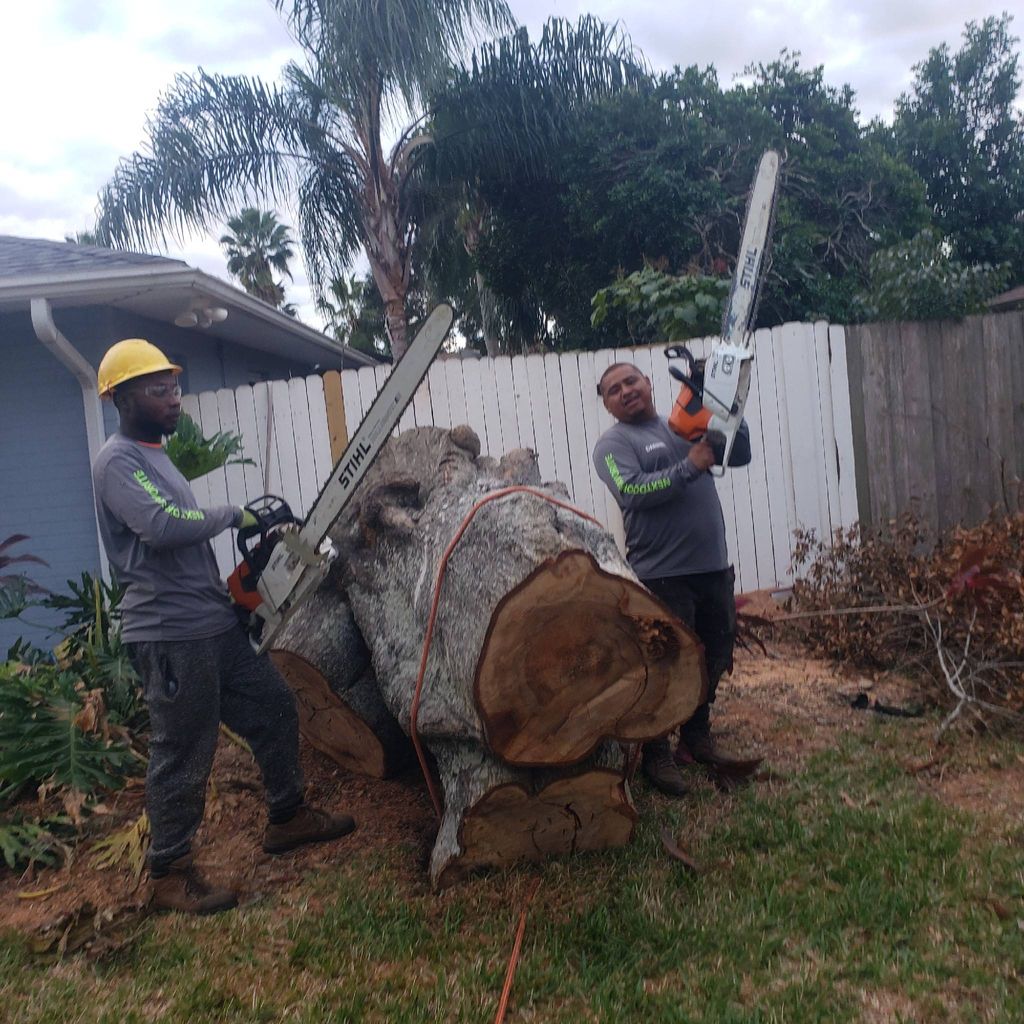 darinels tree service & more