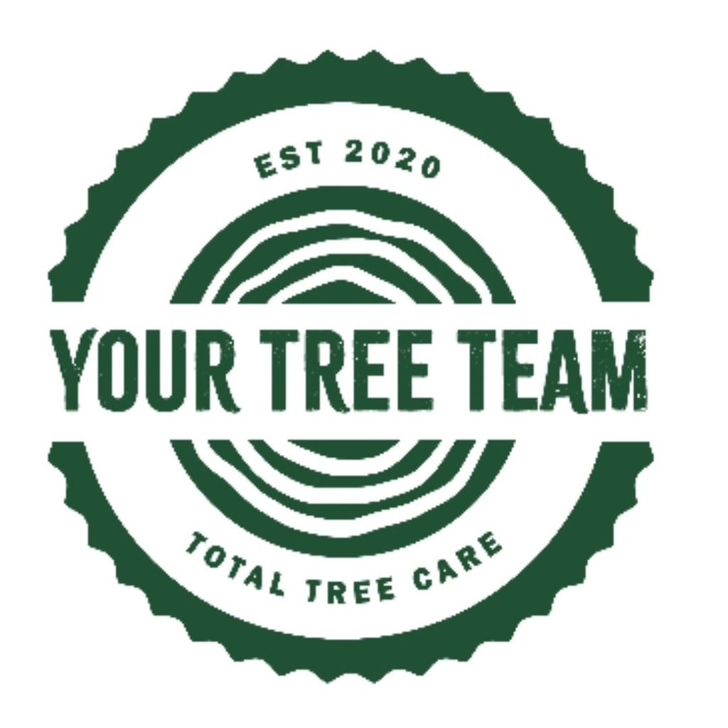 Your Tree Team