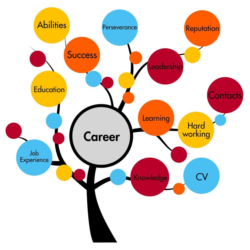 Independent Director of Placement (IDP)
