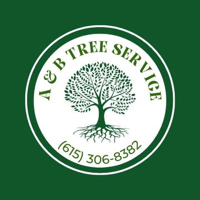 Avatar for A&B Tree Service