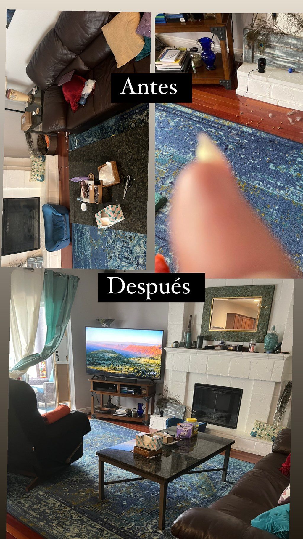 Projects and media