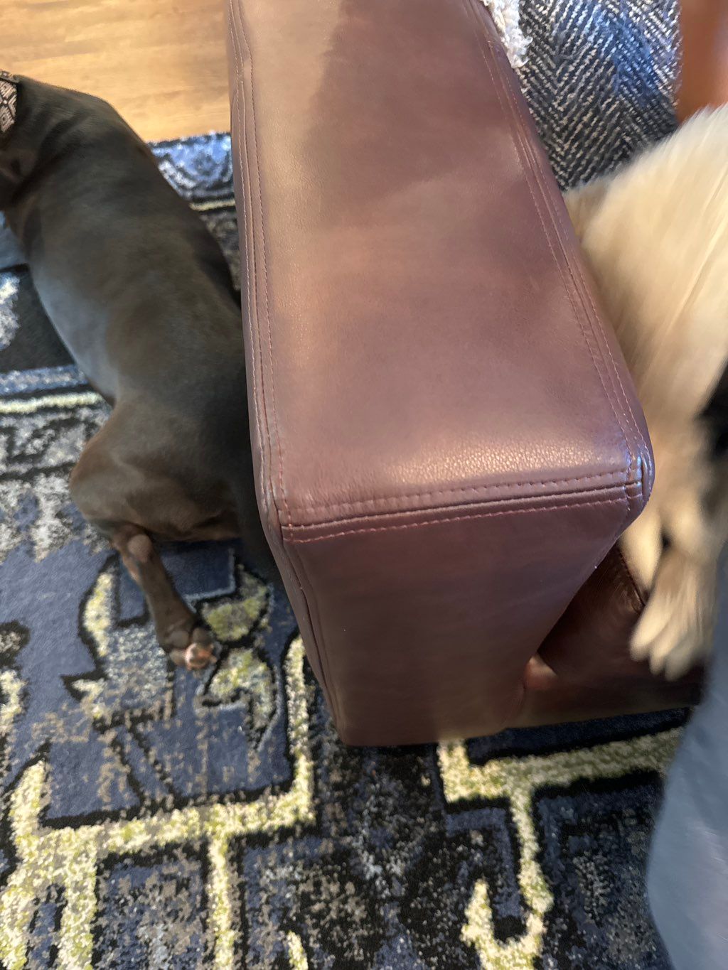 Customer photos