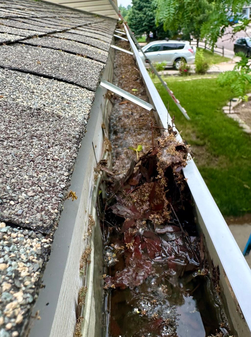 Gutter cleaning before
