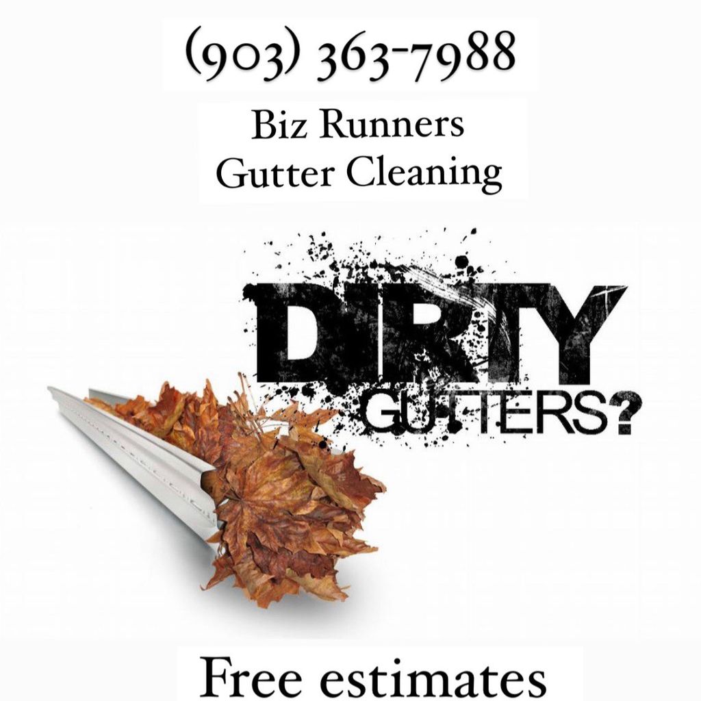 Biz Runners Gutter Cleaning