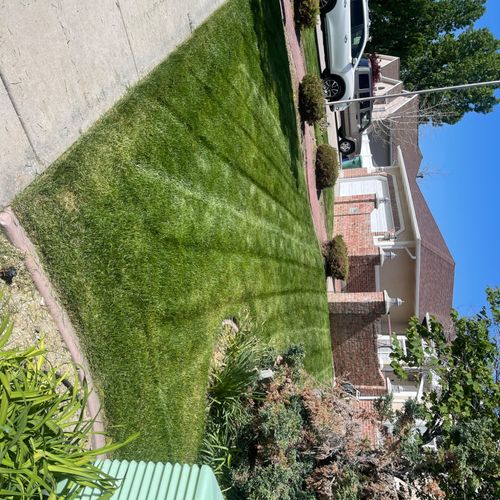 Good honest work, was on time. Lawn looks great!