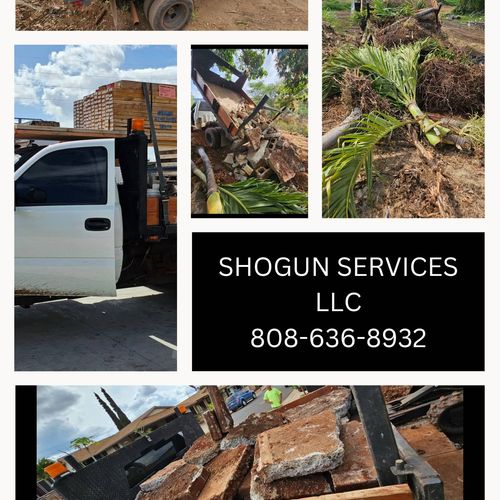 junk removal and hauling services