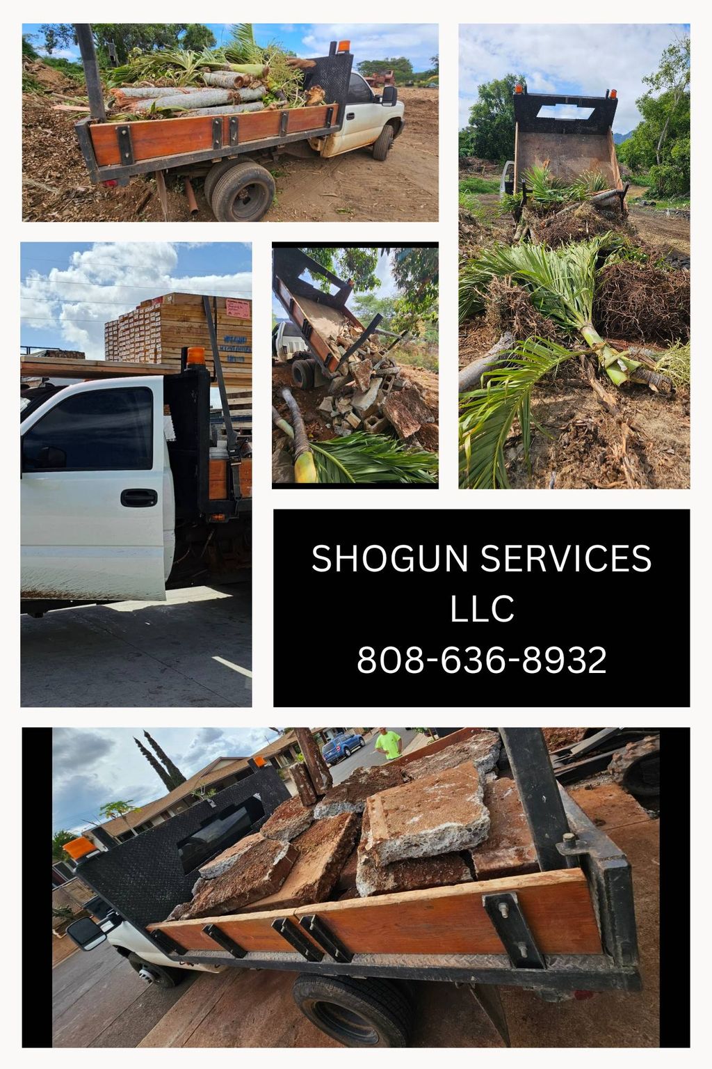 junk removal and hauling services