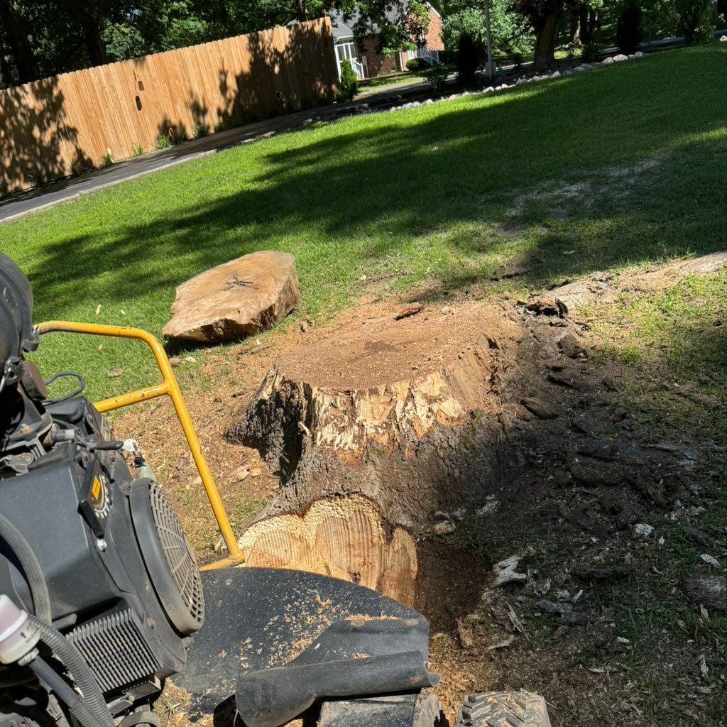 Ochoa stump grinder